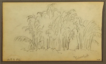 Tekening, Koeien in landschap; Verso: Bamboe, 1857