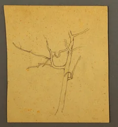 Tekening, Dode bomen, mogelijk juli 1866