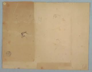 Tekening, Details van ezelskoppen, Zuid-Amerika, 1853
