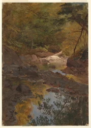 Tekening, In de bossen van New England, 1855-65