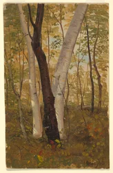 Tekening, In het bos, Hudson, New York, oktober 1865