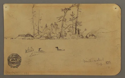 Tekening, Eiland, Twee ijsduikers, 1878
