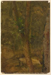 Tekening, Jungle Scène, juni 1865