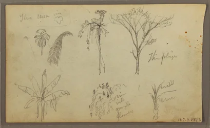 Tekening, Landschap, Guayaquil, Ecuador, 21 mei 1857