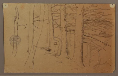 Tekening, onderste delen van een groep bomen op een helling, 1862