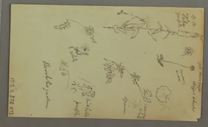 Tekening, Bergstudie, mogelijk 1868