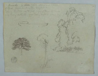 Tekening, Natuurstudies van de Rio Magdalena, Colombia:  Bomen, wijnranken en een kano, mei 1853