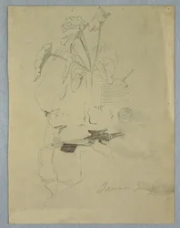 Tekening, Philodendrum [] Groeiend boven een rots, Jamaica, juni 1865