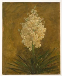 Tekening, Plant in bloei, augustus 1865