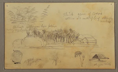 Tekening, Schetsen, Ecuador of Colombia; Verso: Schetsen, Ecuador of Colombia, 1857