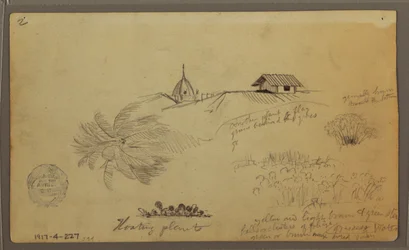 Tekening, Lucht over de zee; Verso: Botanische schetsen, Daken, mei 1857