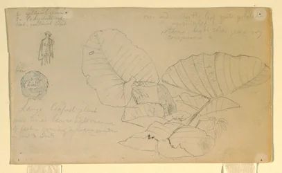 Tekening, Studie van een man; Studie van, mogelijk juni 1857