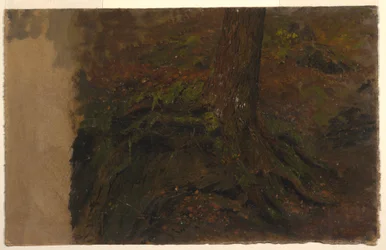 Tekening, Studie van een boomstam, 1850-60