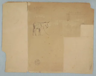 Tekening, Vastgebonden ezel en een stijl van omheining, Zuid-Amerika, 1853