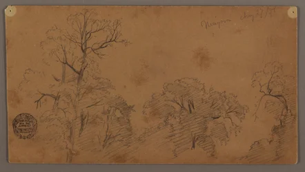 Tekening, Boomtoppen, Niagara, 27 augustus 1856