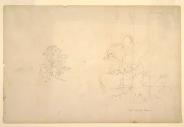 Tekening, Boom en dode boomstam, september 1844