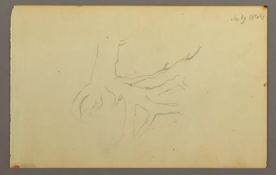 Tekening, Boomwortels, 1844