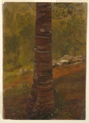 Tekening, Boomstam, mei 1865