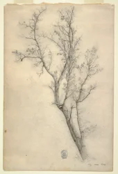 Tekening, Boom met vele takken, juli 1844