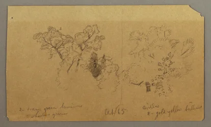 Tekening, Twee boomstudies, oktober 1865