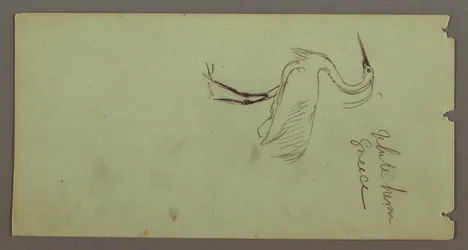 Tekening, Witte reiger, mogelijk 1869