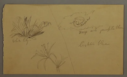 Tekening, Witte lelie, maan, mogelijk 1865-66