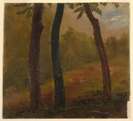 Tekening, Boslandschap, Jamaica, 1865