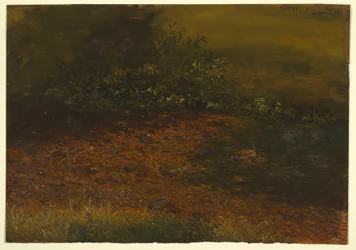 Tekening, Bosbeek in de Catskills, september 1848