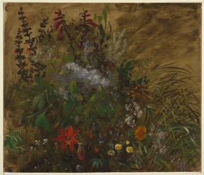 Bloemen in Jamaica