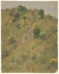 Landschap, Jamaica