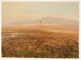 Mexicaans landschap