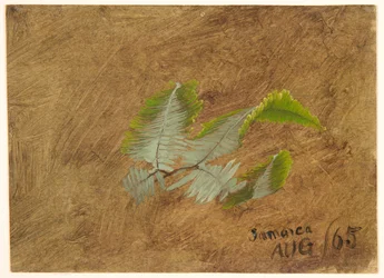 Studie van Varen, Jamaica