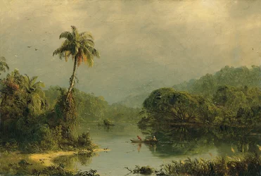 Tropisch landschap