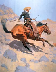 De cowboy
