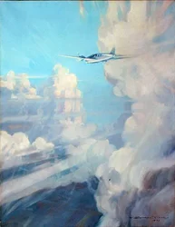 Vlucht