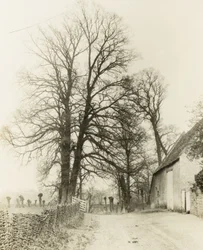 Kelmscott Manor: Weg en ingang
