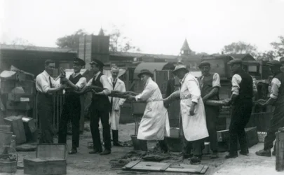 Een 20 ft. lange Python gedragen door elf leden van het personeel van de Zoological Society, London Zoo, juni 1925