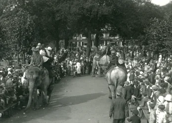 Olifantenritten, met drie Aziatische olifanten bekeken door menigten toeschouwers in London Zoo in augustus 1926