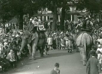Olifantenritten, met twee Aziatische olifanten bekeken door menigten toeschouwers in London Zoo in augustus 1926