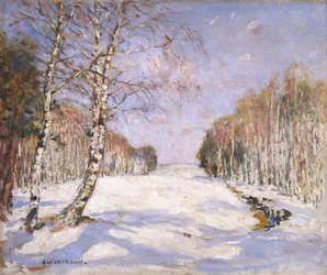 Schaduwen op de sneeuw, ca. 1890-1918