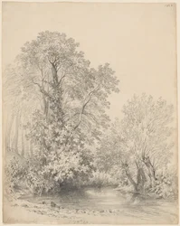 Bomen bij de Rivier in Castle Bromwich
