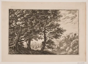 Bergachtig landschap met grote bomen