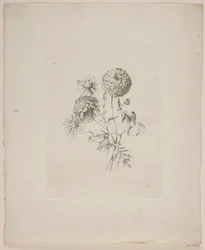 Bloemenmotief