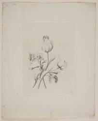 Bloemenmotief
