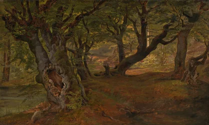 Uitzicht op het Bregentved-bos, Sjaelland