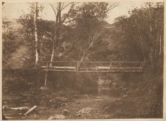 Landschap met bomen en brug