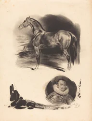 Schetsen van een paard en een edelman