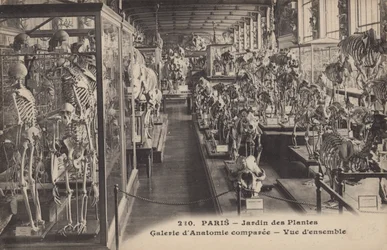 Parijs, Jardin Des Plantes
