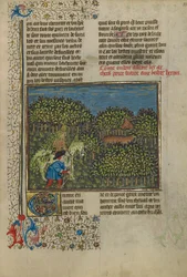 Een gecamoufleerde ruiter en een boogschutter die een hert naderen