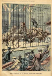 Een temmer wordt opgegeten door haar leeuwen in een menagerie in Dessau, Duitsland. Gravure in 